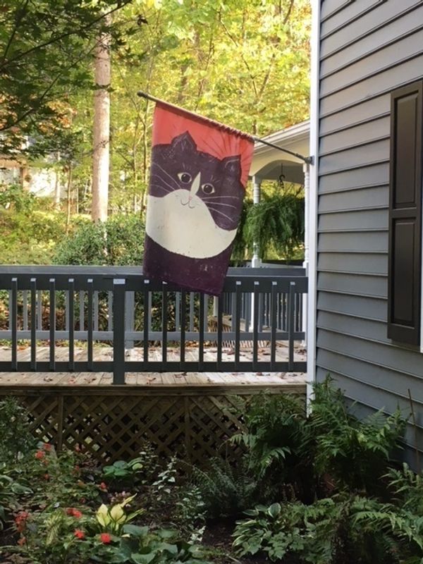 La maison de Katherine