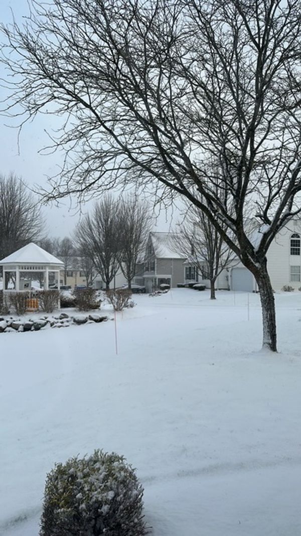Cozy Cottage near numerous park trails