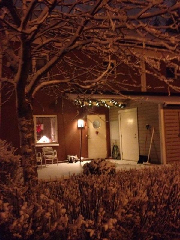 House with lovely garden -free 21 -28 dec 2025
