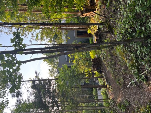 Judith et Zachary's house