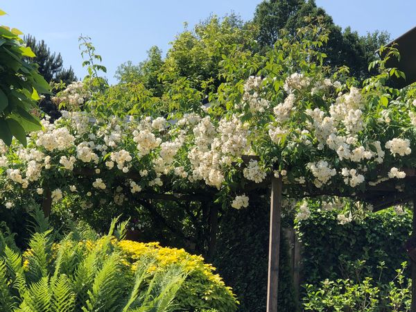 La maison de Cees en Els van Dijk-Wolthuis