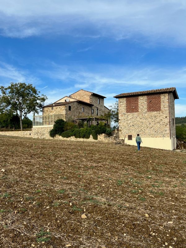 Francesco's house