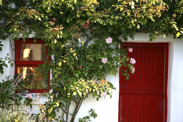 In the heart of the Burren.