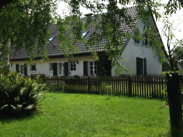 Daniela's house