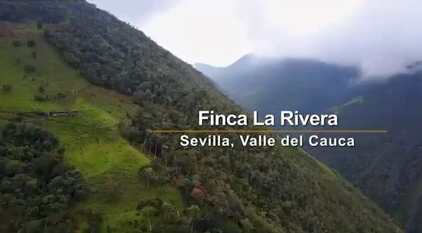 La maison de The rivera birding