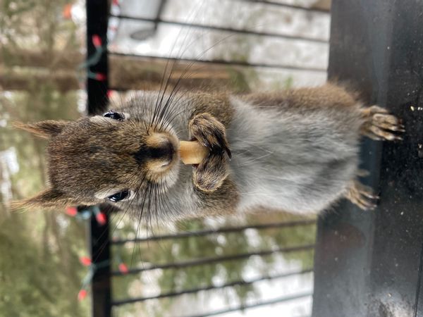 La maison de Jean-Francois
