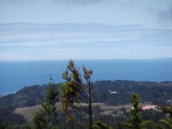 La maison de Randall