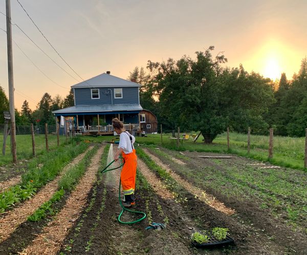 Estelle's flower farm house