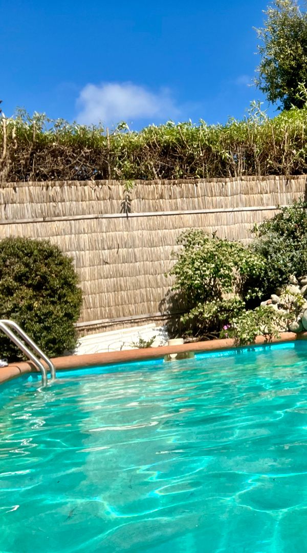 La maison de Marcela Ingebhor