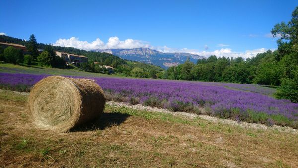 Charme et nature : notre maison à ossature bois au ❤️ du Diois