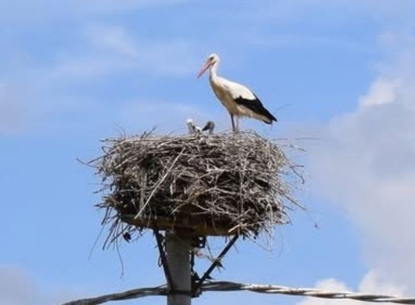 La maison de Maria Teresa