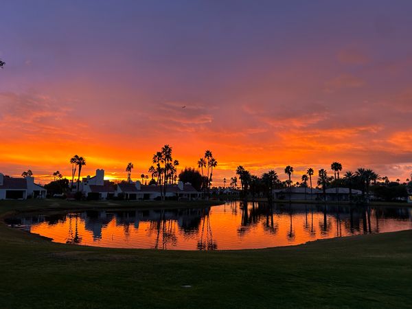 Lakefront Beauty - listen to the birds chirp while drinking your morning coffee