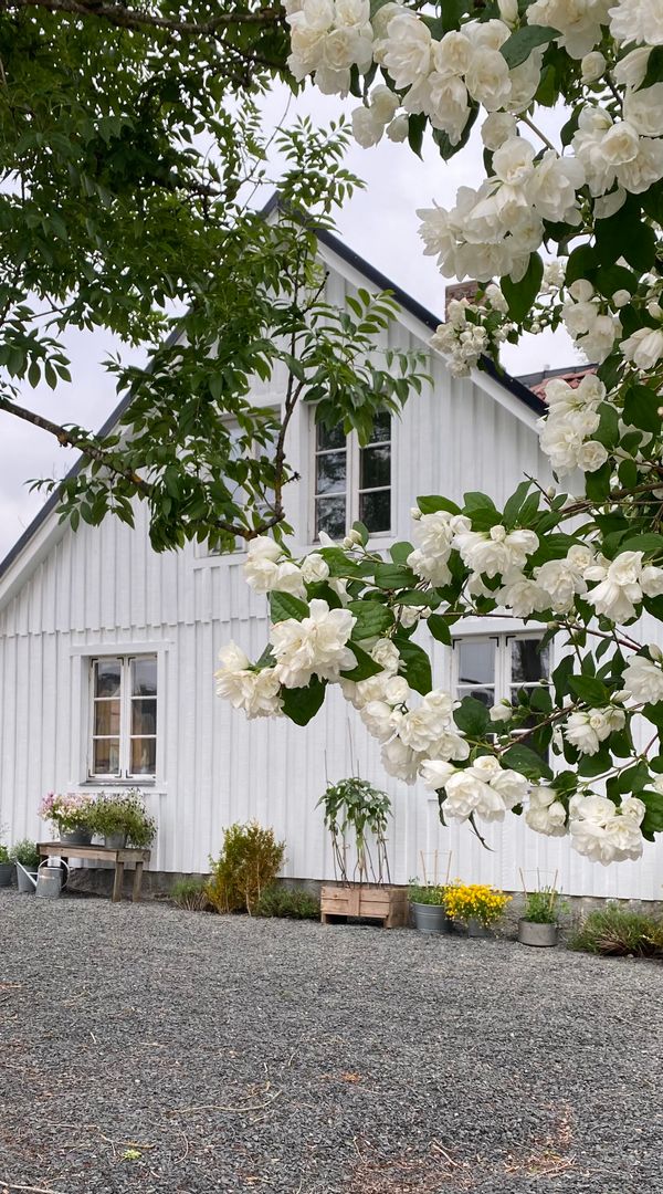 Charming old family home in the middle of Skåne