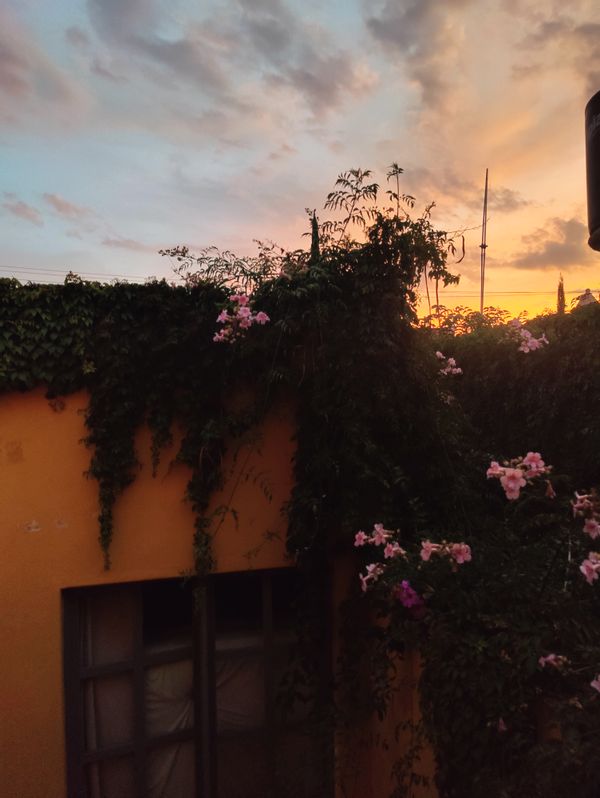 La maison de Erika