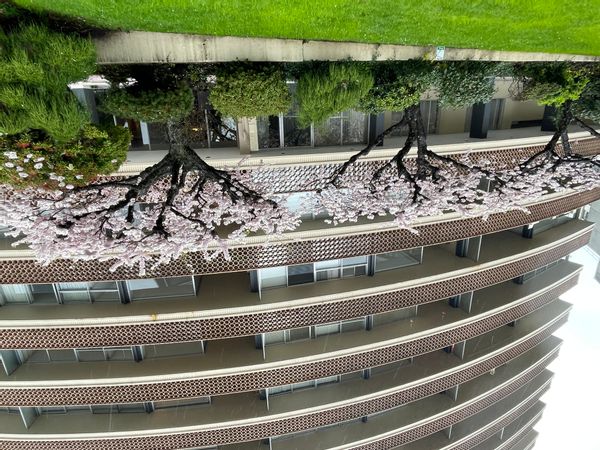 La maison de Amy and Charles