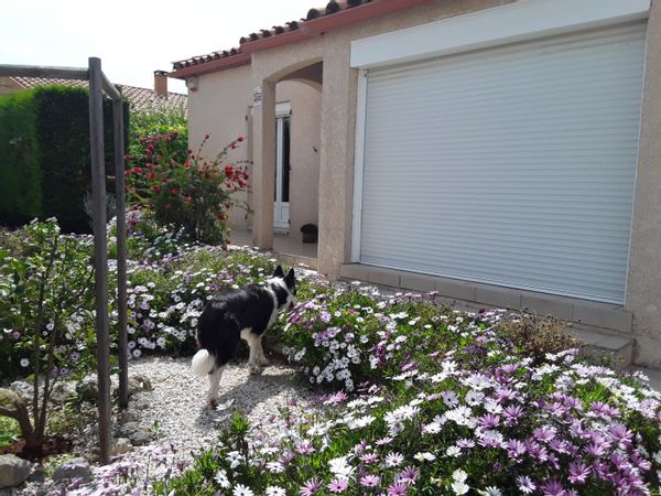 Maison proche plages Barcarès