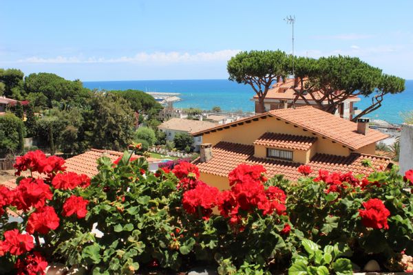 Casa di Ryan