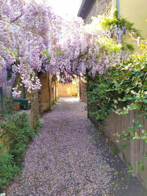 Maison proche de Lyon, avec jardin clos, aux portes du Beaujolais !