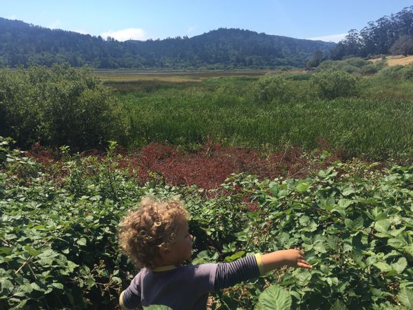 La maison de Luke And Maggie