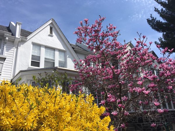 Baltimore House of Colors - Reciprocal or Last Minute GP