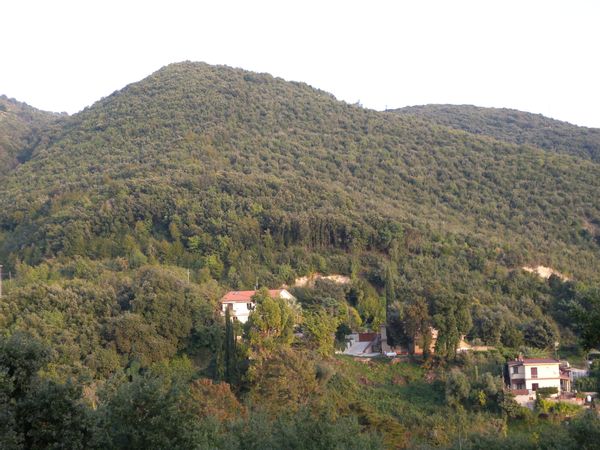 Robertos hus
