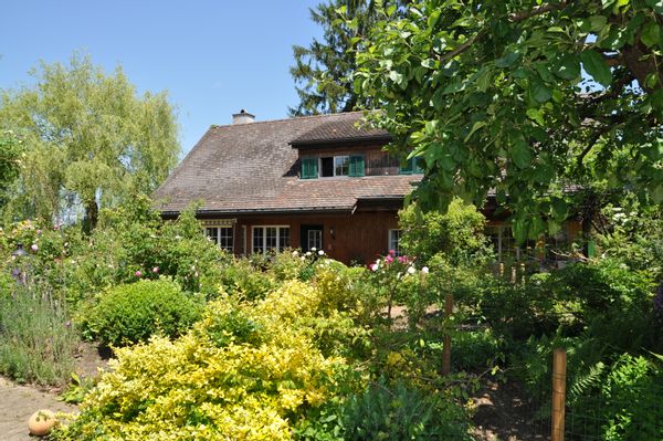 beautiful farmhouse near river and lake