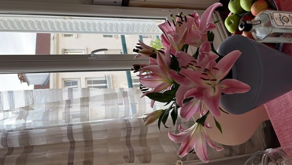 La maison de Roberto