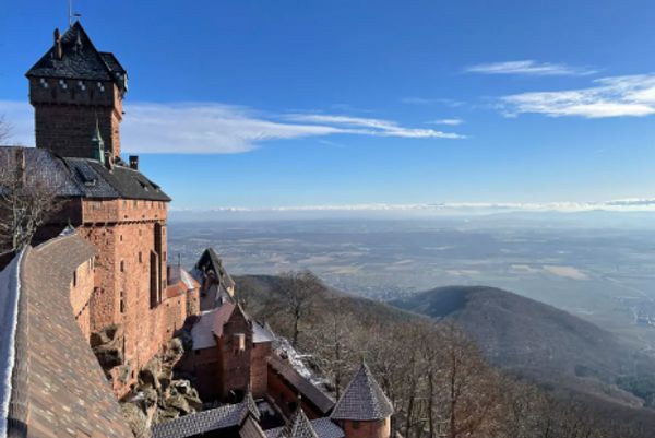 Maison DISPO contre Guest-points du 26/07 au 9/08/25