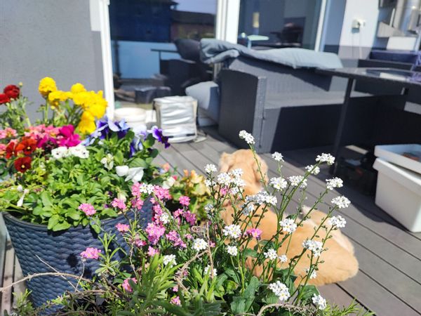 Casa di Jure and Sanja