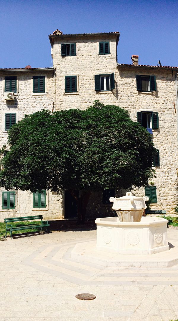 La maison de Trine & Stein