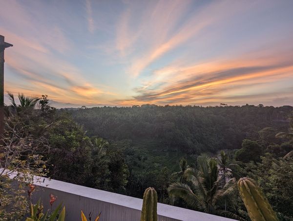 Amazing View - Ubud villa with pool and car overlooking jungle ravine