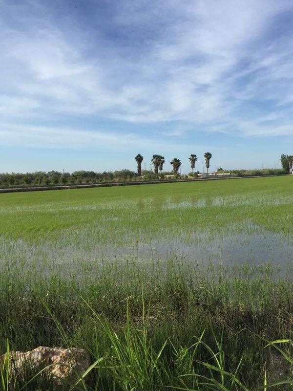 Casa de Esther y Antonio Angel