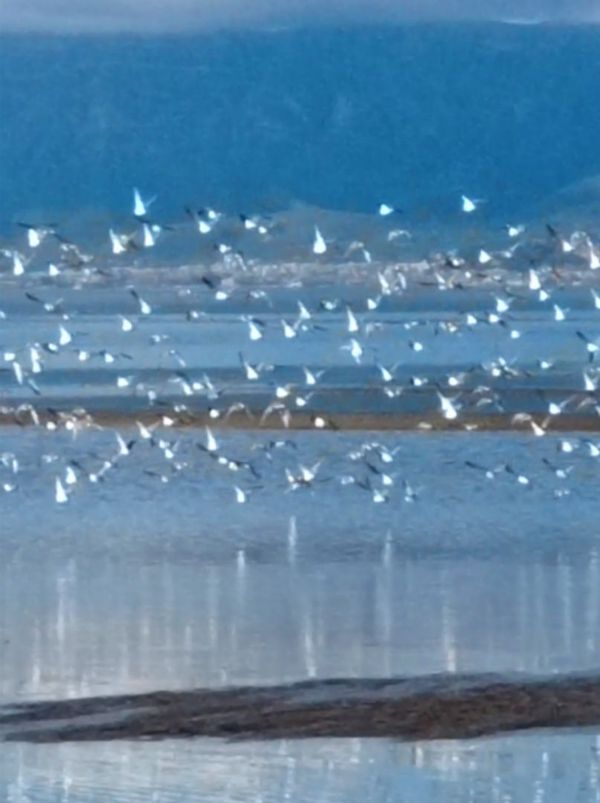 La maison de Esther y Antonio Angel