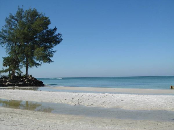 Resort style condo in the heart of Siesta Key Florida