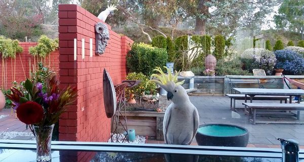 Great sweeping views, Stunning home, Close to all attractions