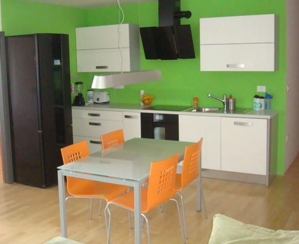 Cosy appartment in the capital of green Slovenia