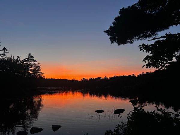 Peter and Jocelyns hus