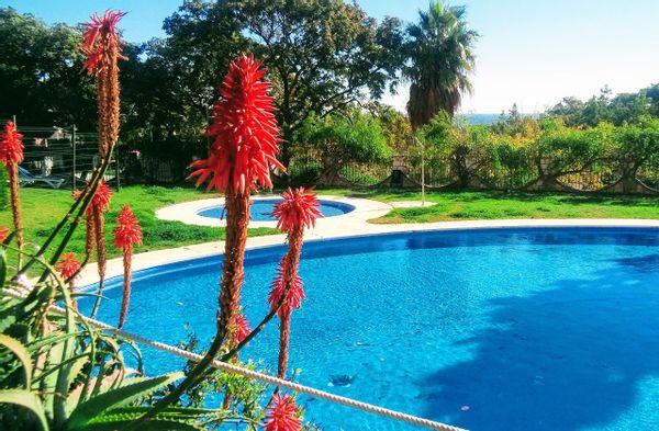 Beautiful flat-loft best area Costa del Sol. Benalmádena. ANDALUSIA. SPAIN