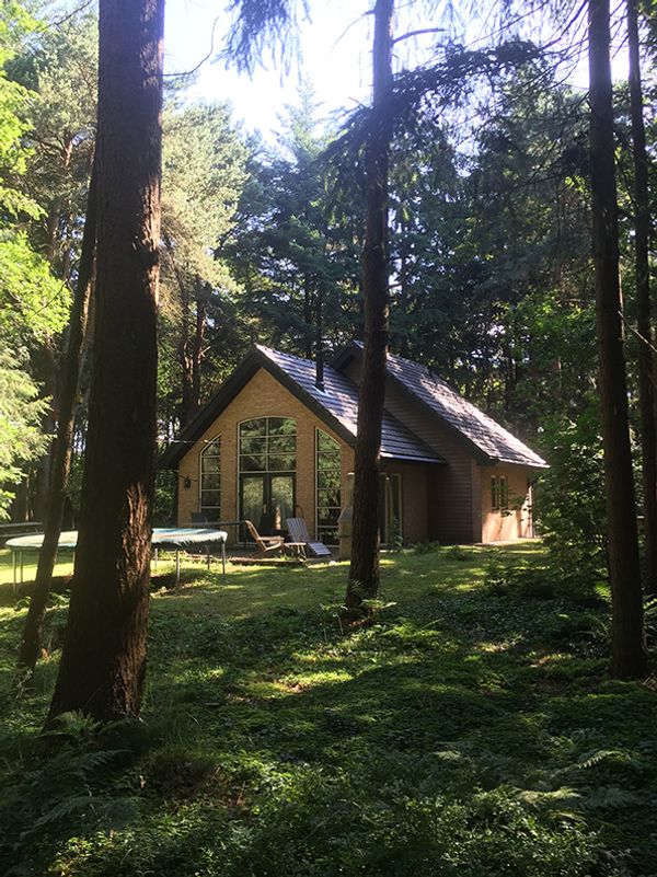 Beautifully located forest lodge, The Netherlands