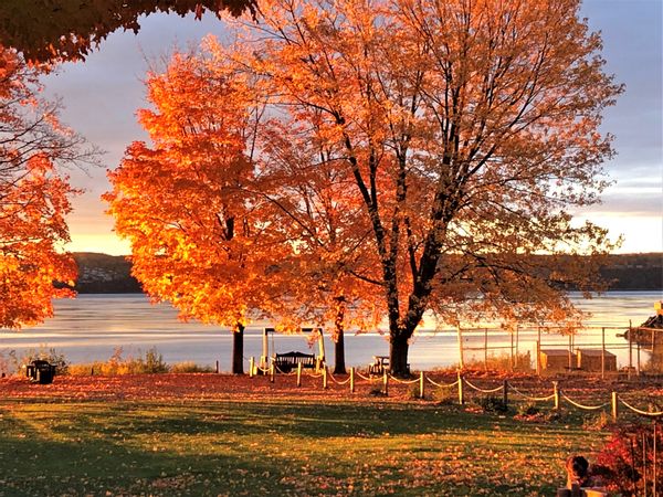 La maison du fleuve aux grandes eaux (4 saisons)