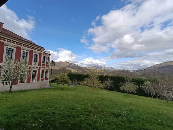 Cristina,Gonzalo, Momo y Vegas hus