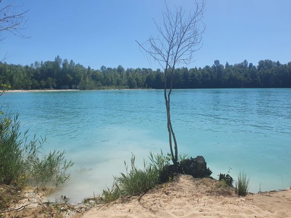Maison proche Bordeaux, 1 h plages , 15 minutes st Emilion 150 gp novembre à avril
