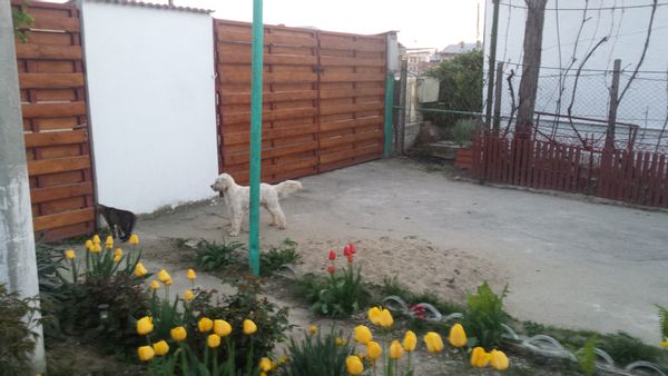 La maison de Carmen Elena