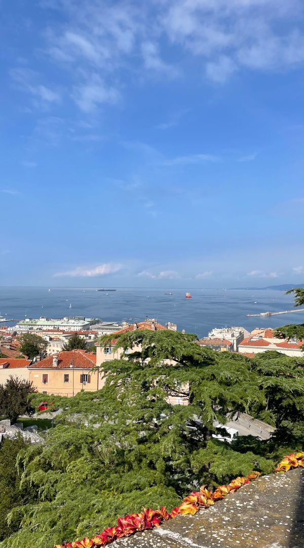 Piccolo rifugio a Trieste: la tua casa tra natura e città
