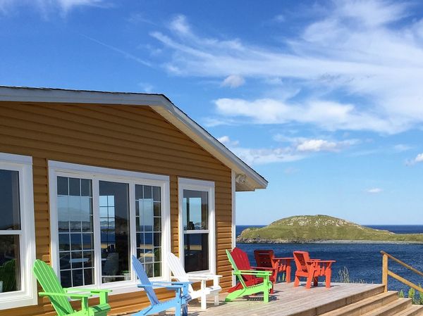 Whales, icebergs, ocean views near St. John's Newfoundland Canada