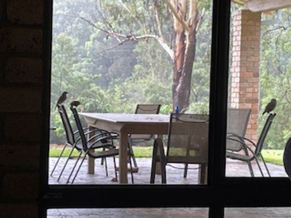 Private Apartment Attached to Main House
