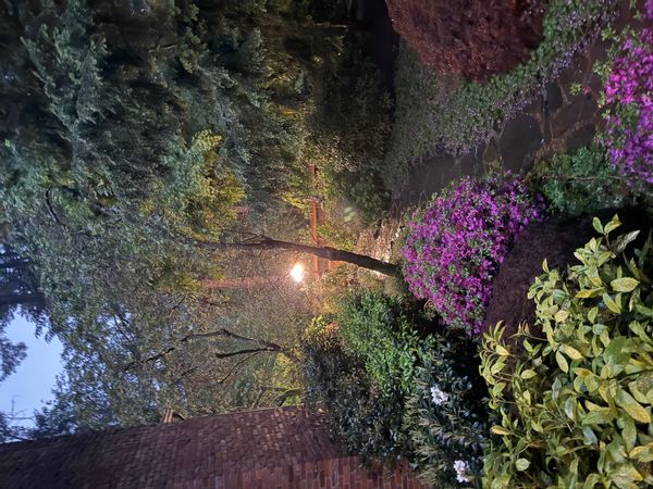 Secret Garden Respite | Lake Washington and Burke-Gilman at Your Door | Bellevue/Kirkland