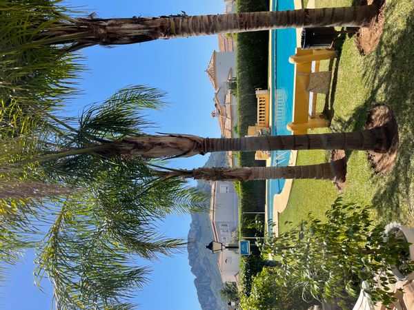 Lemon Tree House / Sun Costa Blanca in Spain