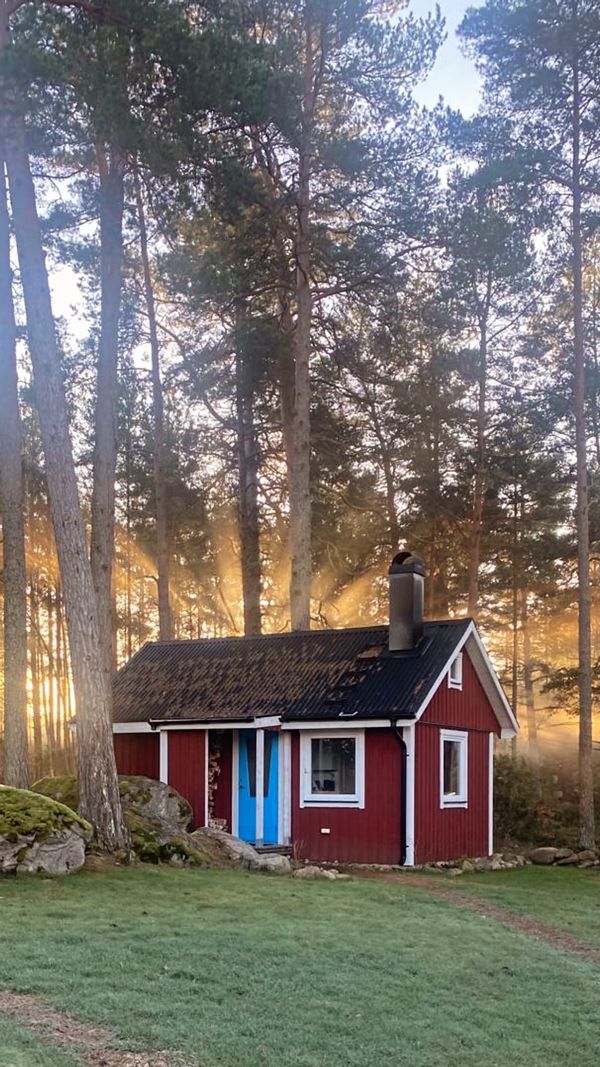 La maison de Ray