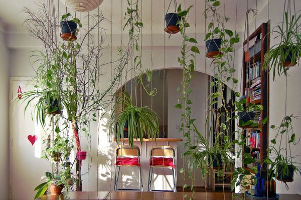 Casa di Annie & Zoli